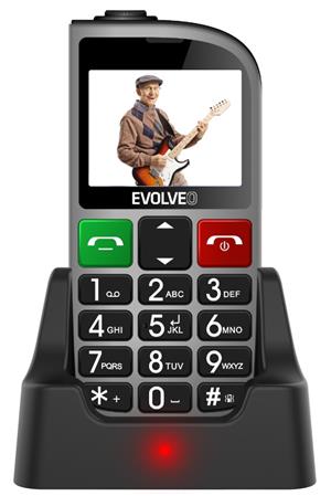 EVOLVEO EasyPhone FM, mobiln telefon pro seniory s nabjecm stojnkem (stbrn barva)